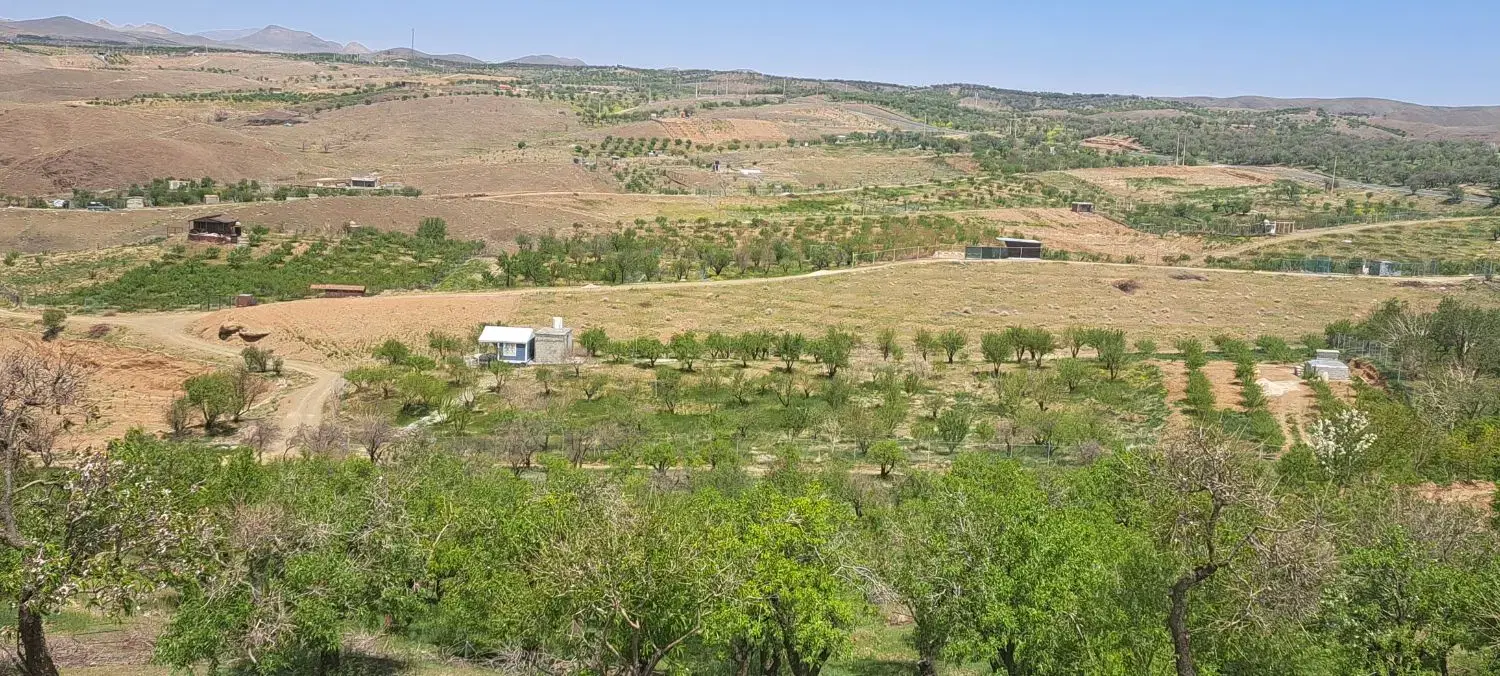 باغ بادام درجه یک