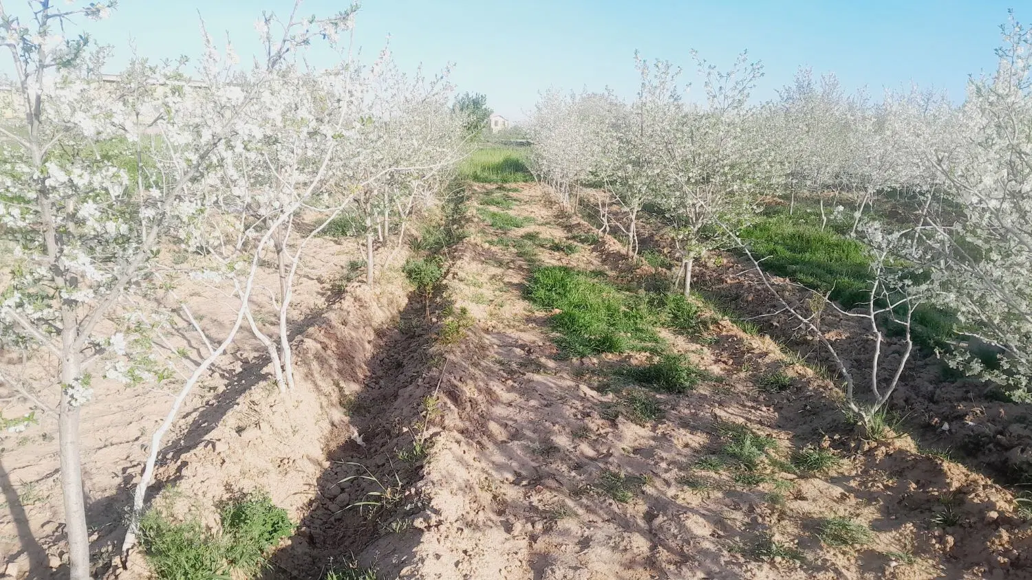 زمین‌‌خوش‌بالا‌۳۶۰‌متر‌مسکونی
