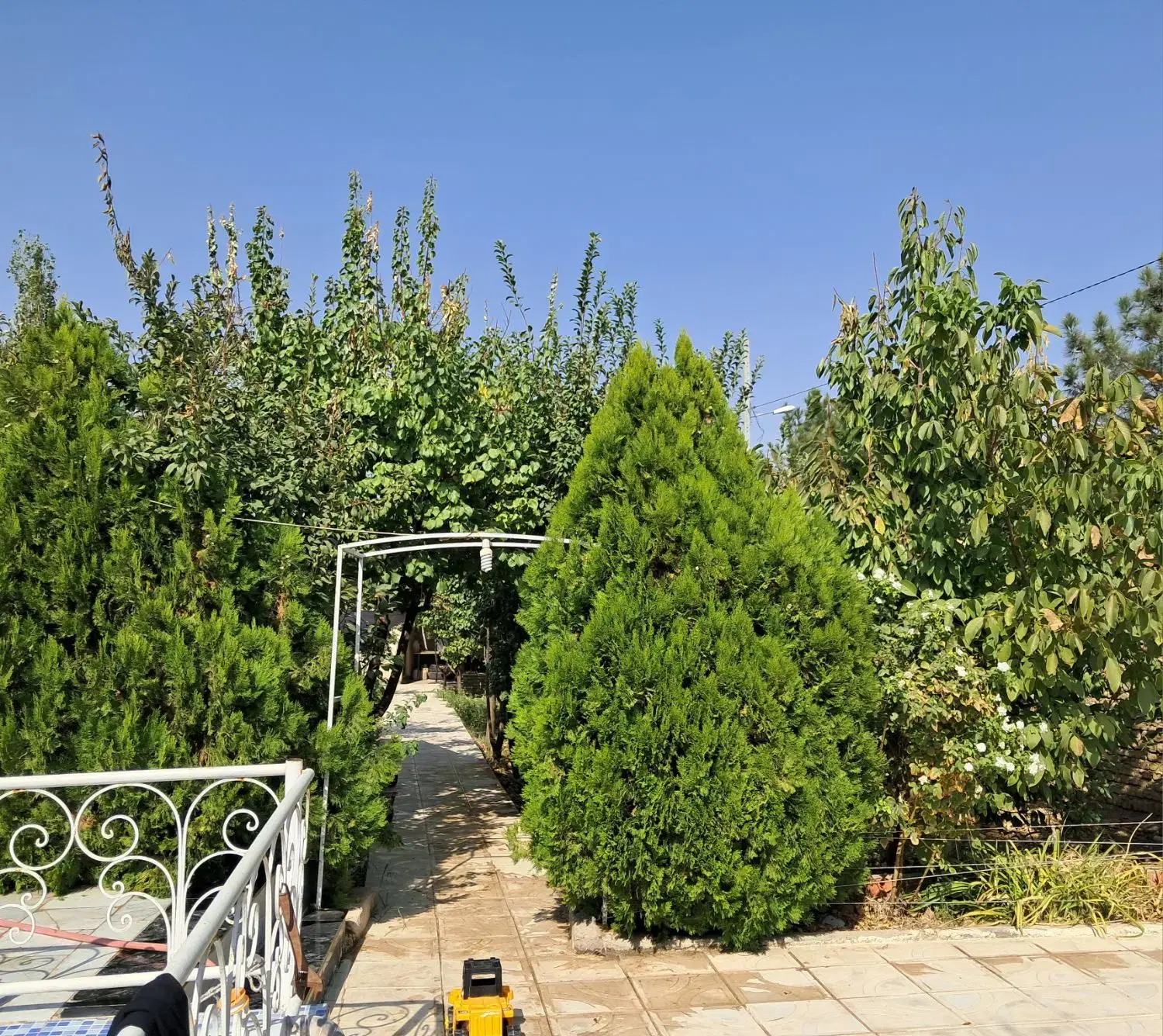 فروش خونه باغ گلمکان