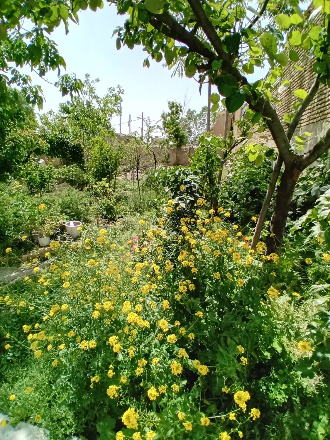 خانه ویلایی۵۵۵متری