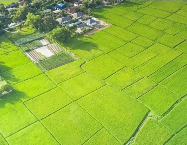 قرارداد زمین استانداری معتبر