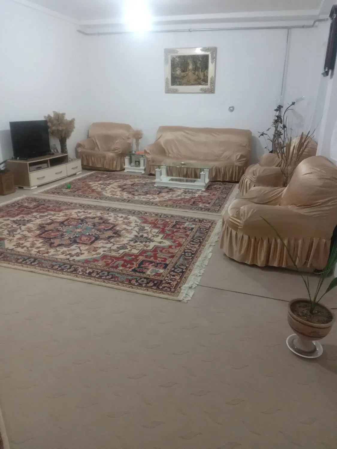 زمین تفکیکی مسکونی