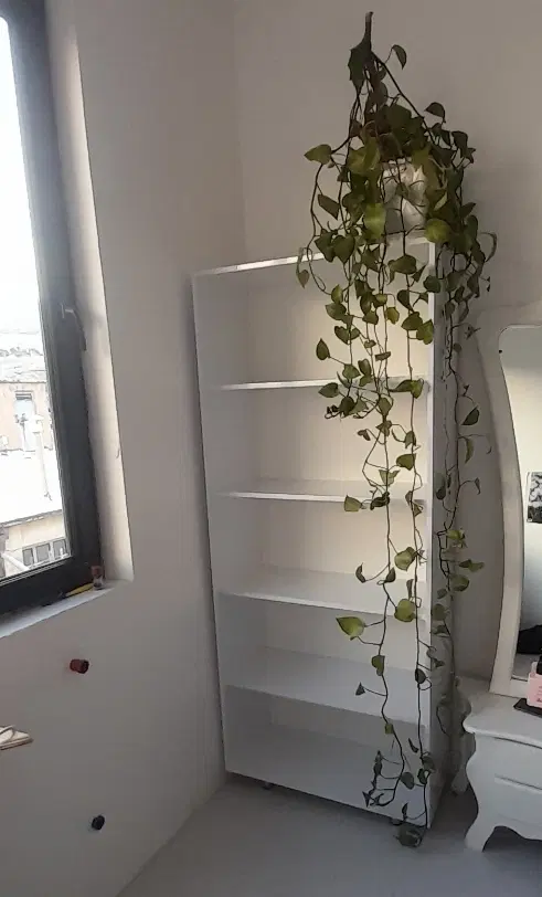 همخانه همخونه