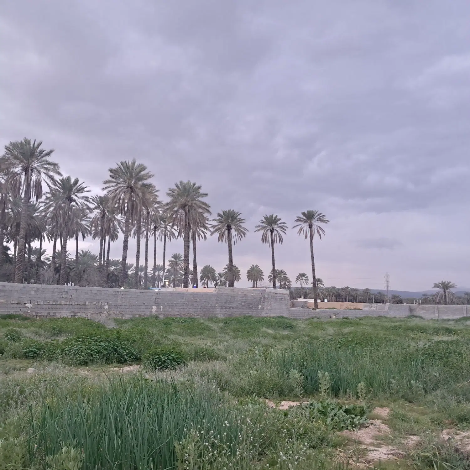 اجاره انبار