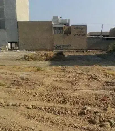 زمین داودی