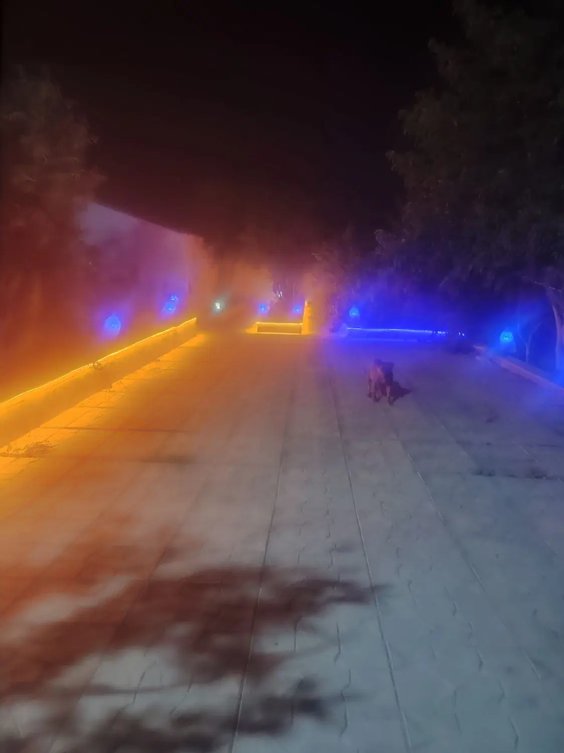 500متر باغ