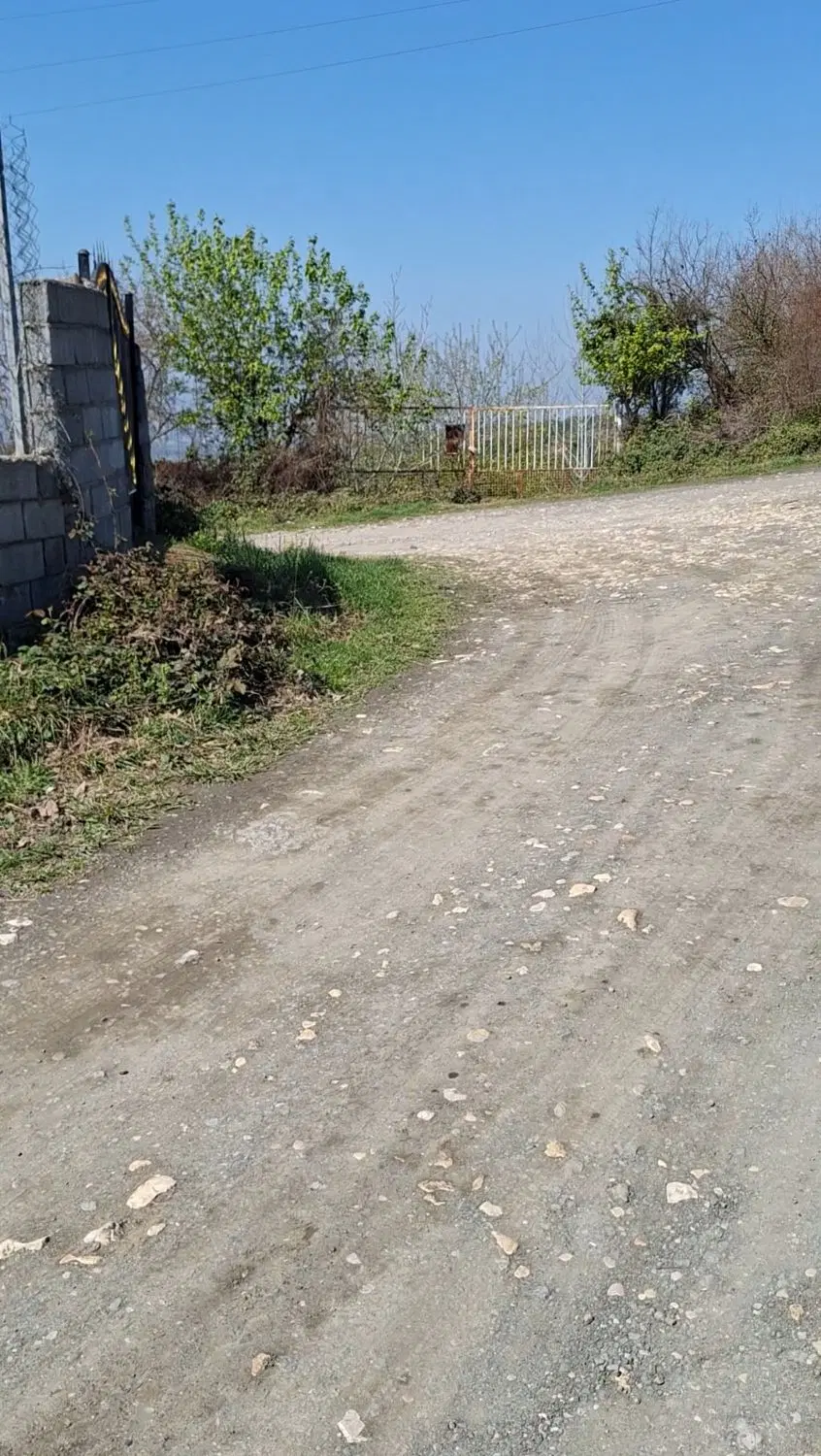 زمین باغی