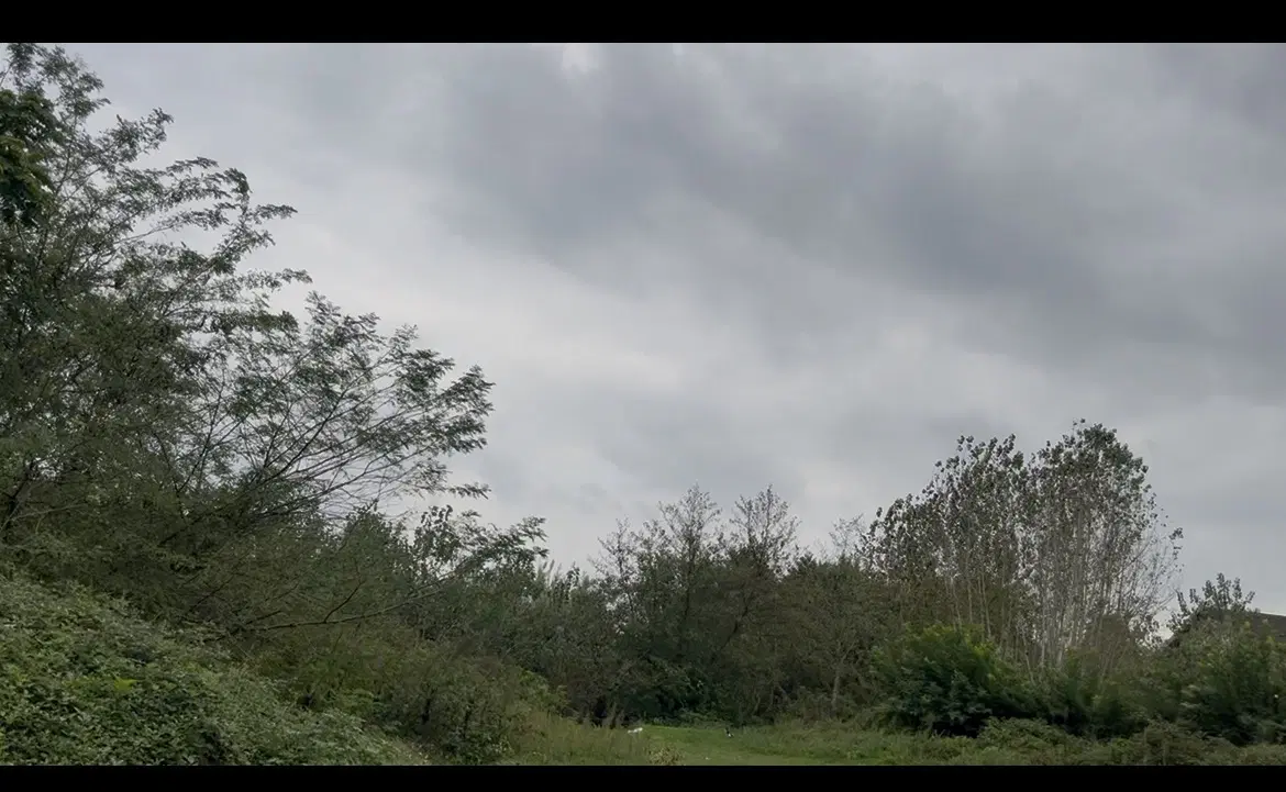 ۵۵۰ متر باغچه زمین باغی