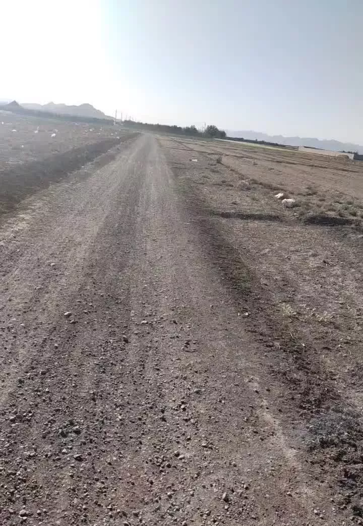 فروش زمین جهت ساخت باغ