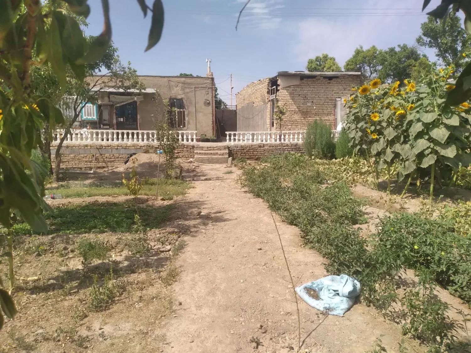 خانه اجاره ای