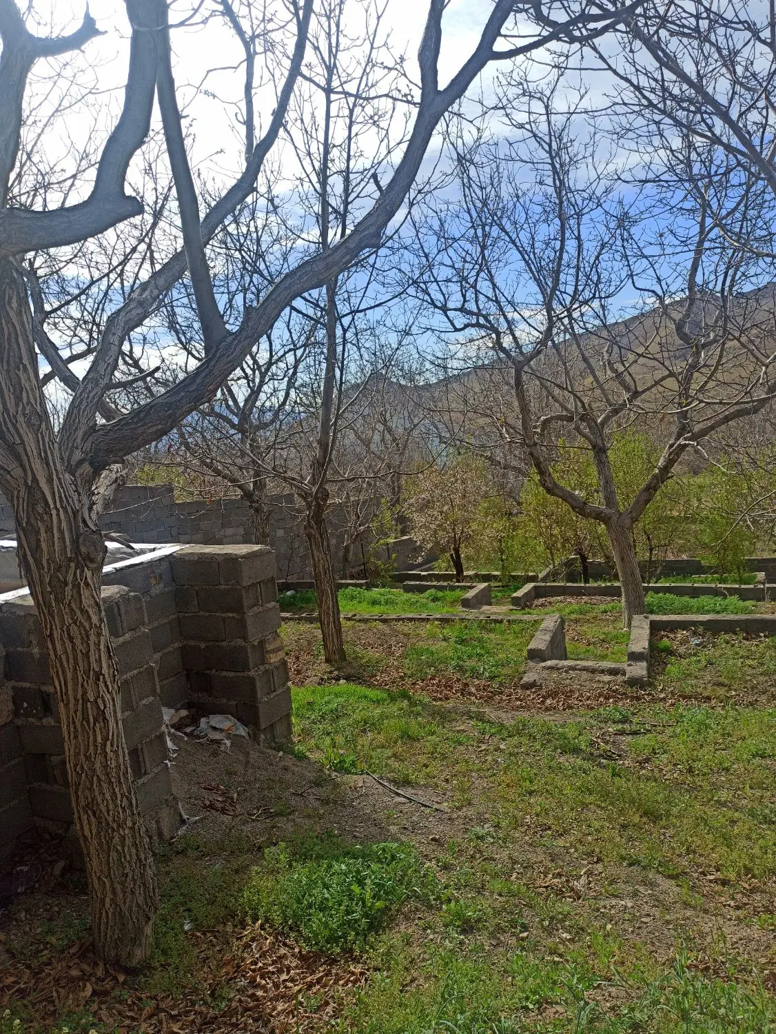 باغچه در روستای خوش آب و هوا وسرسبز فوجرد
