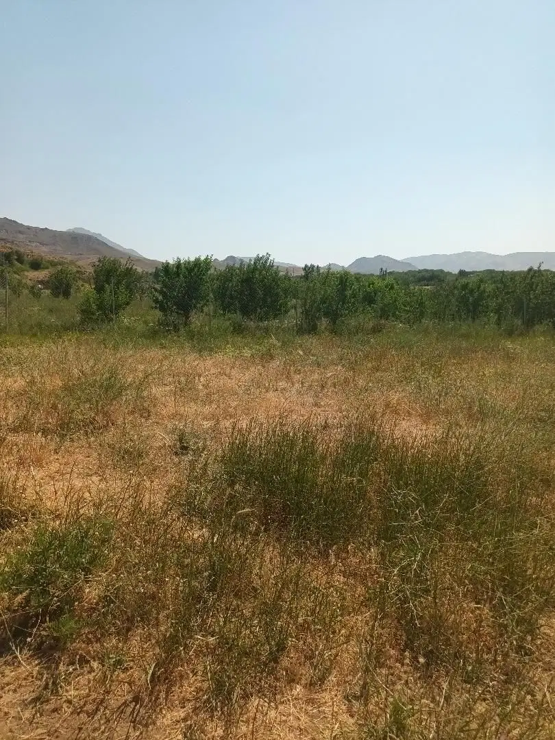 باغ