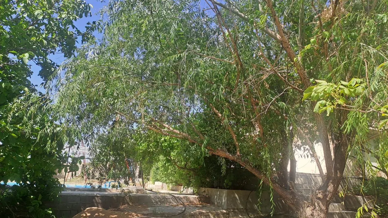 باغ سند دار خان زنیان شیراز