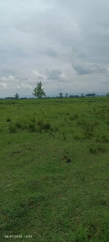 ۱۲۰۰۰۰ هزار متر زمین باغی داخل طرح سمند تک برگ