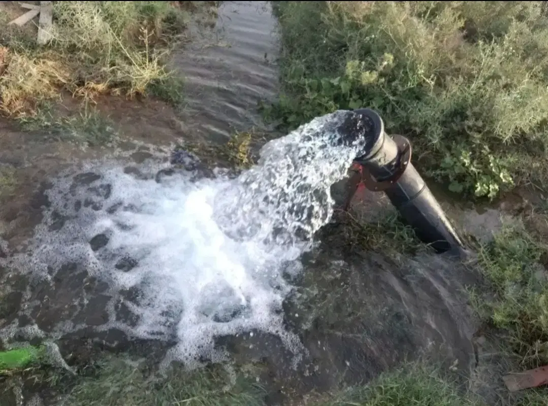 310 هکتاری کشاورزی