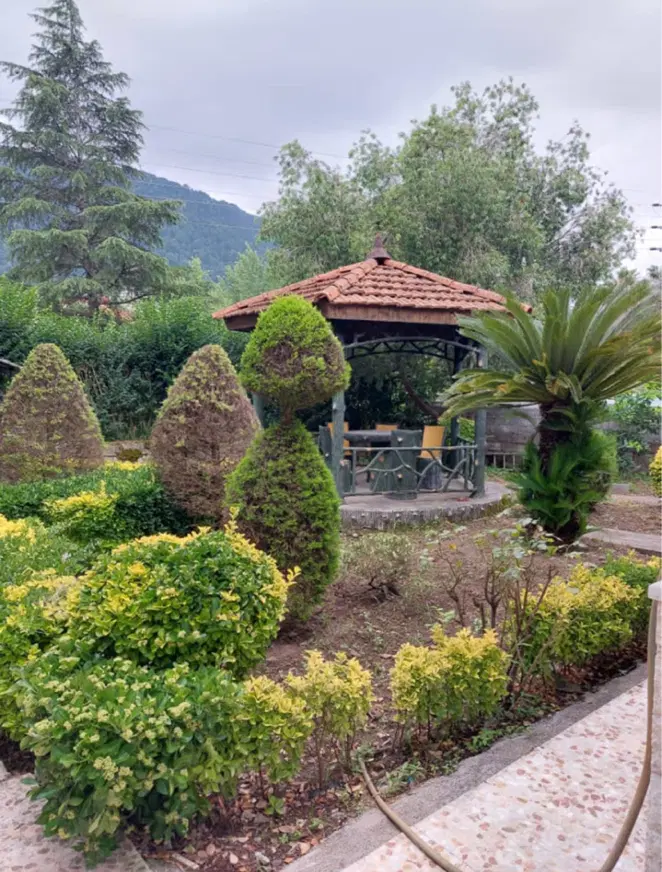 رهن و اجاره نمک آبرود