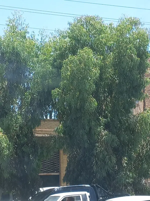 مغازه خ کارگر