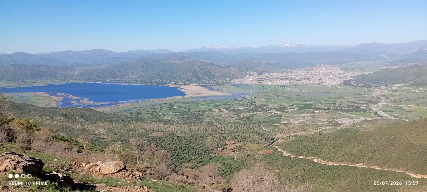 زمین کشاورزی