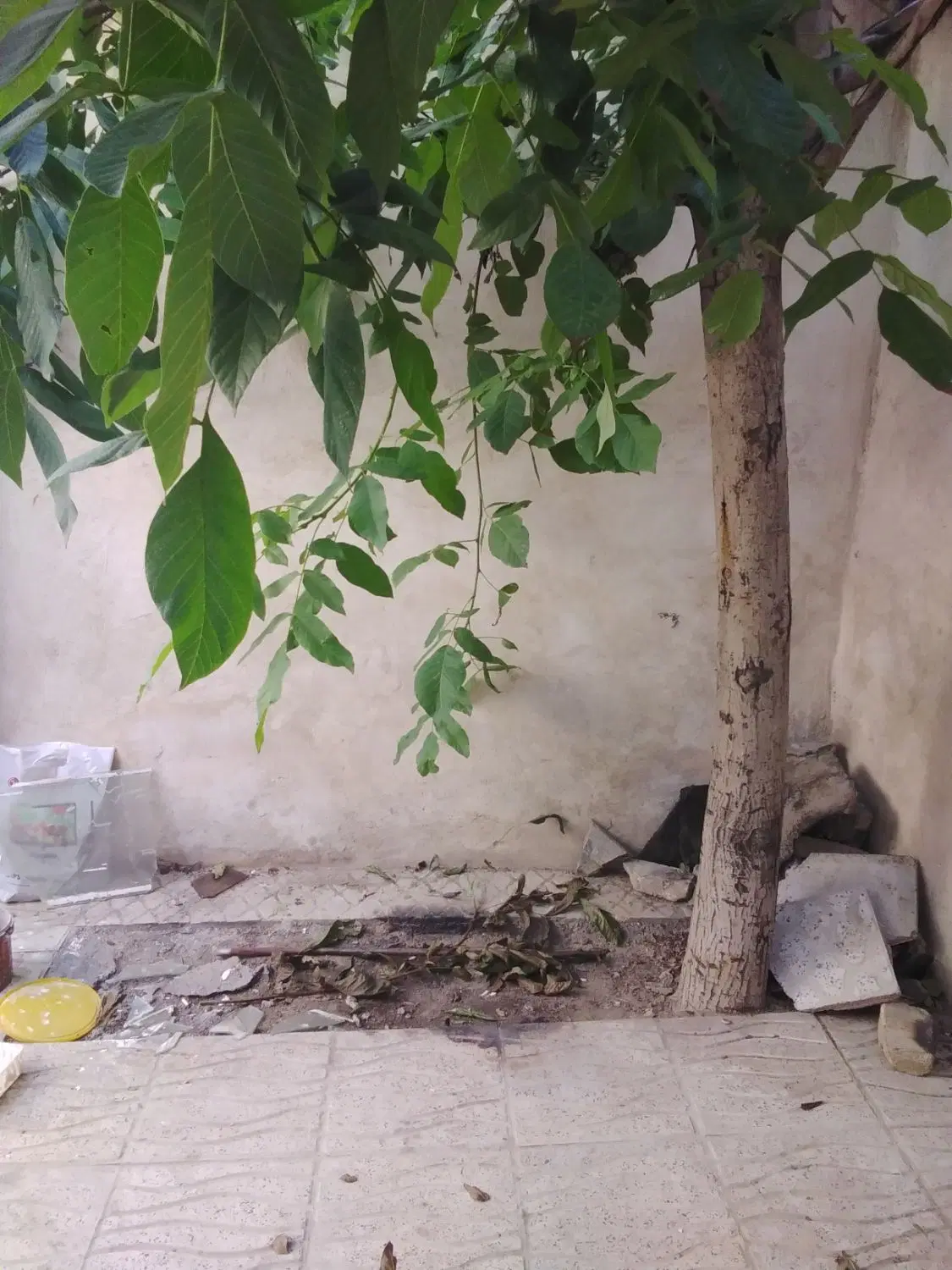 اجاره خانه خ عبدی باخلج قادری