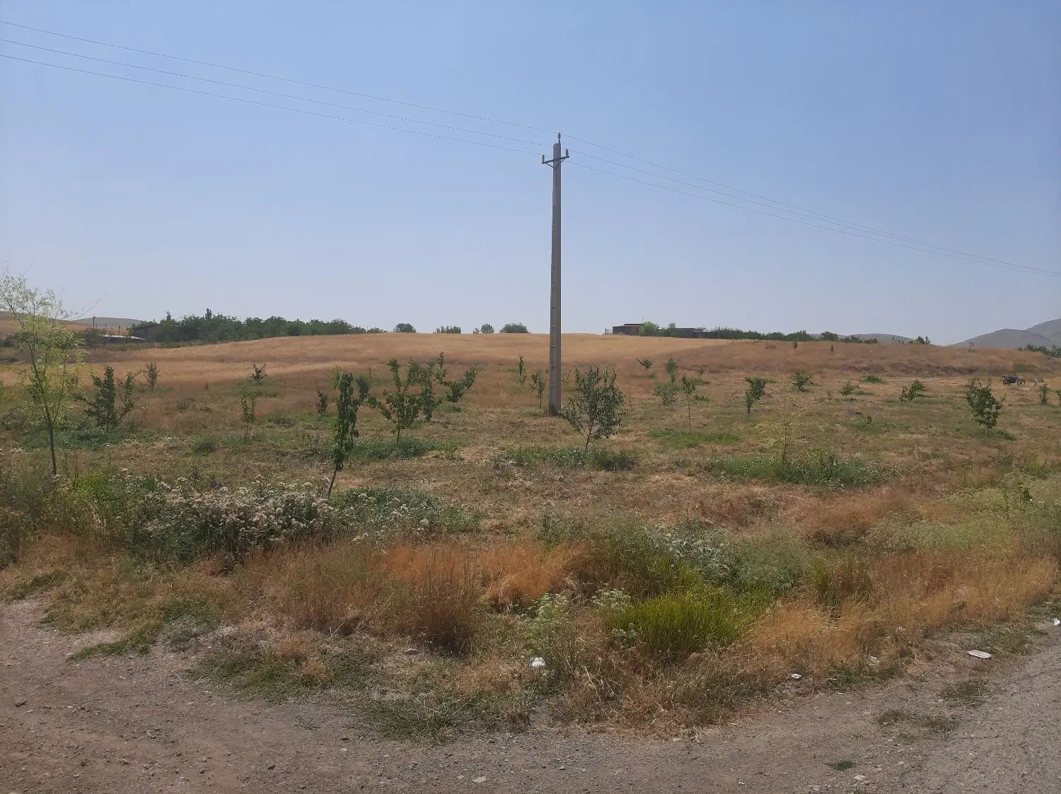 زمین کشاورزی