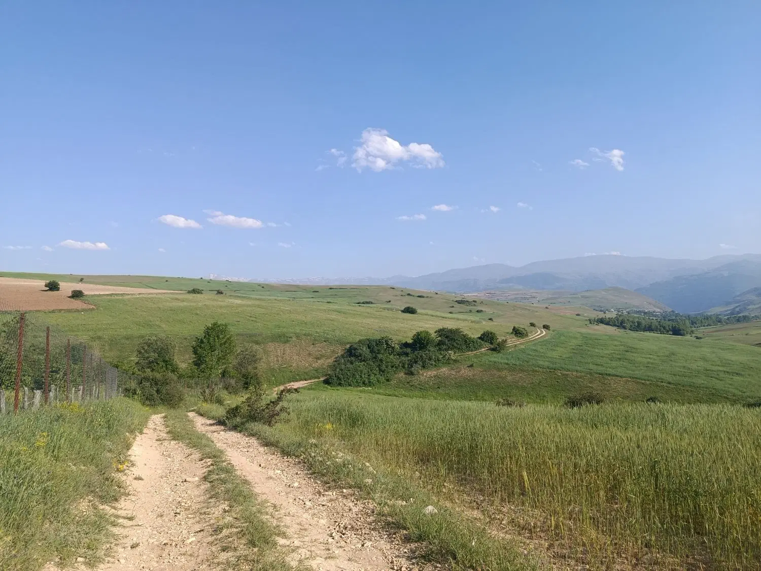 زمین کشاورزی