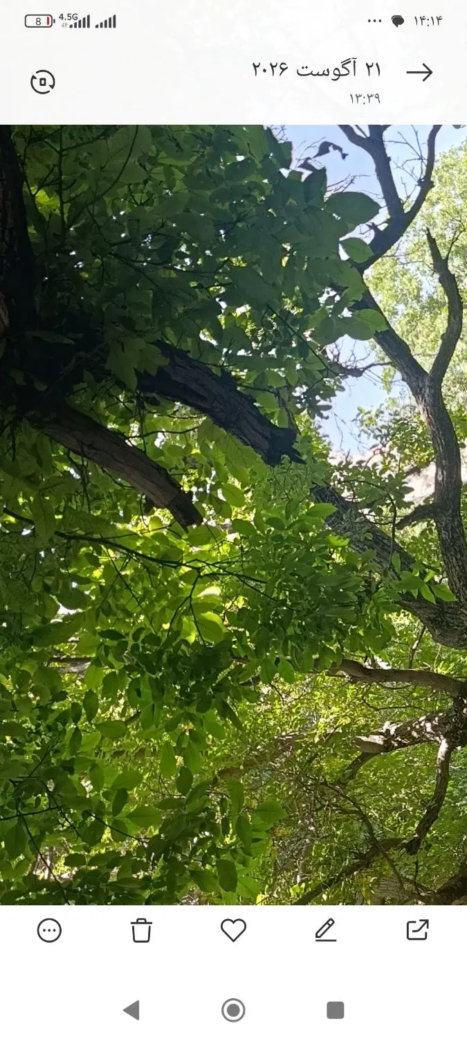 ۳۰۰ متر زمین قلعه سنگی