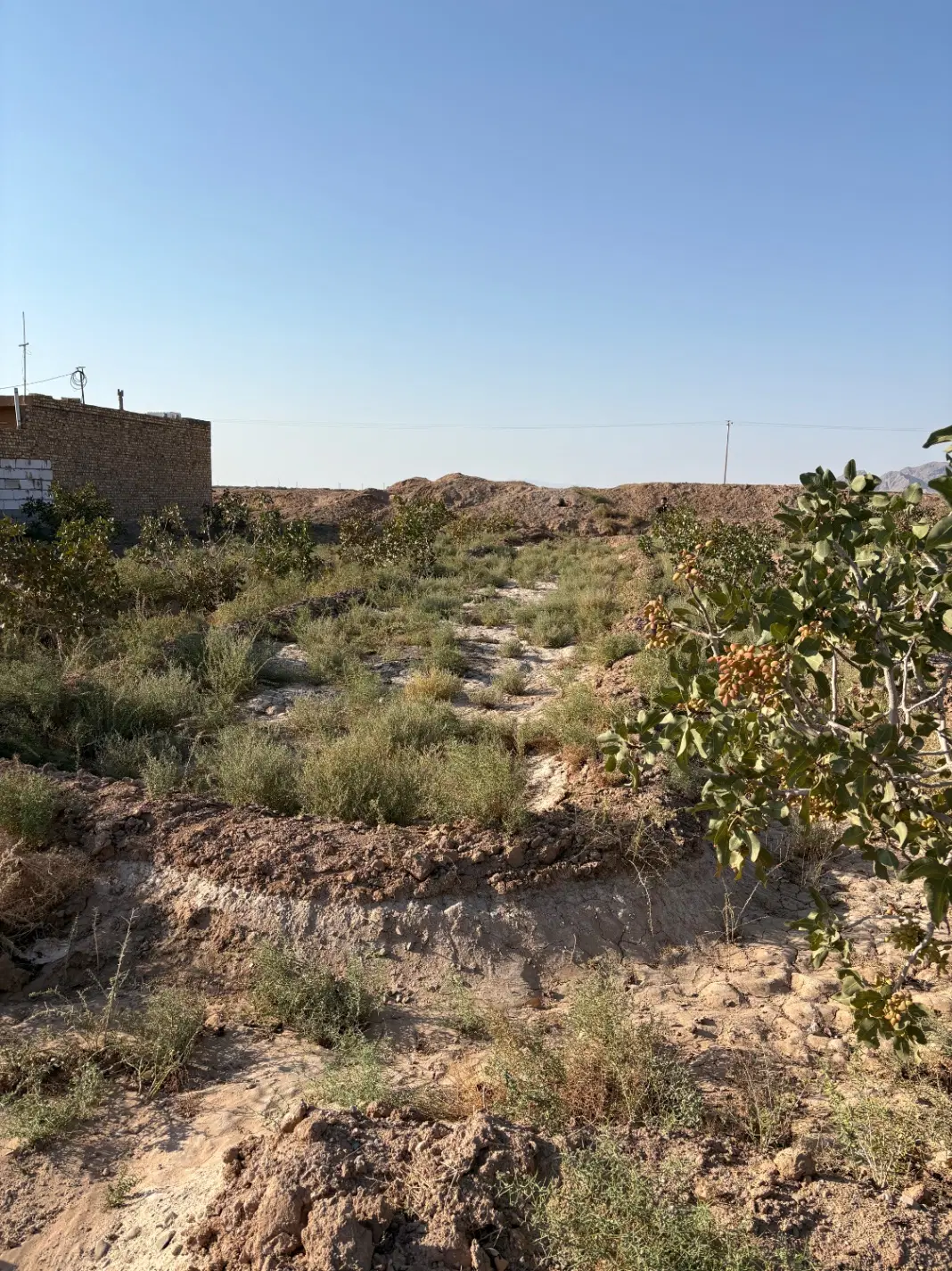 زمین حسین آباد ۶۰۰ متر
