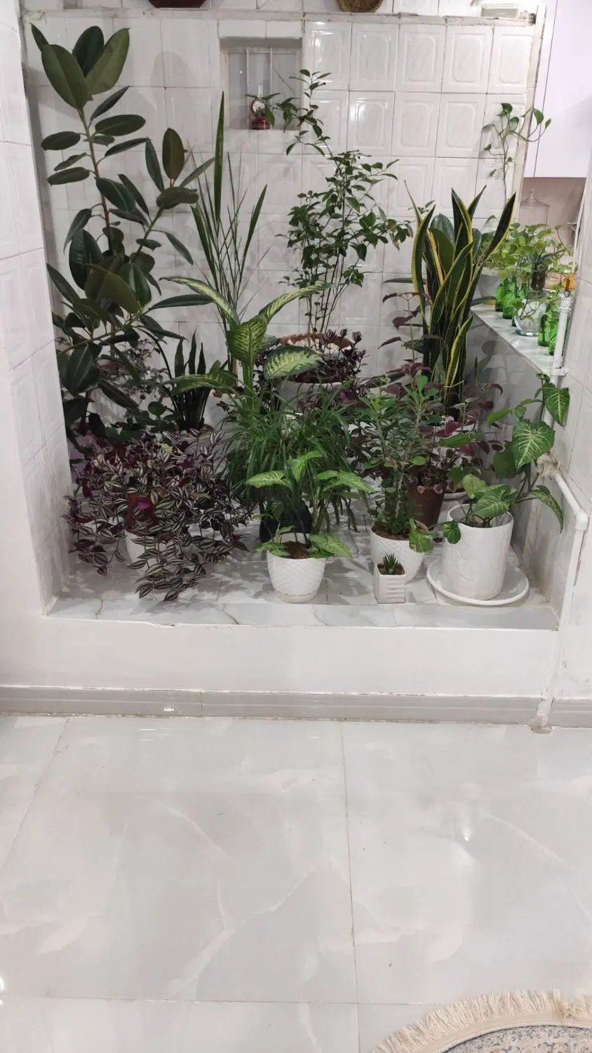 خانه ویلایی ۳۰متری
