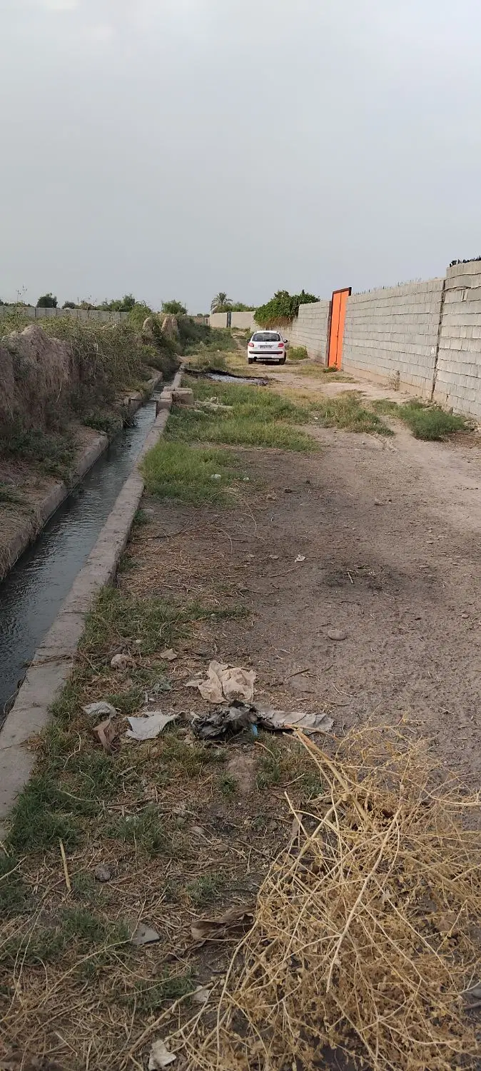 فروش باغچه