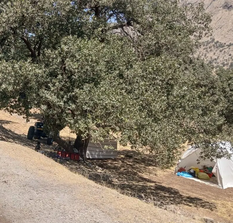 زمین زیرتل  گلزار ۴