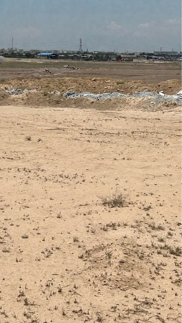 ۱ هکتار زمین ۶ دانگی با سند تک برگ سبز
