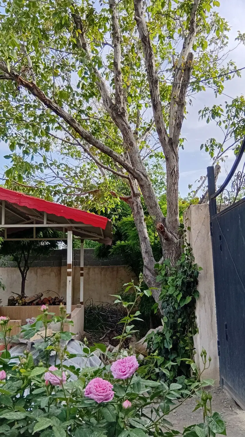 فروش زمین باغ ویلا در روستای سنقرآباد چهارباغ