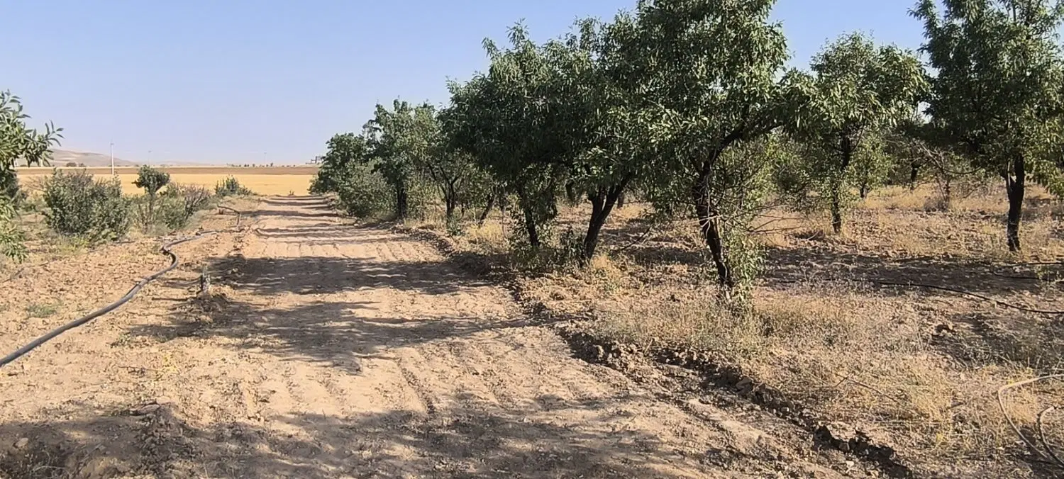 باغ ۱۰۰۰متری حاجی آباد جاده ملایر