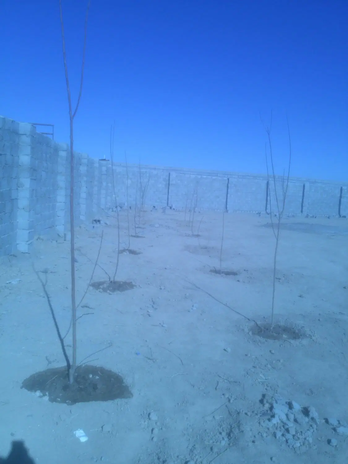 زمین ۱۰۰۰ متری شاهنامه ۷۶ دهشک