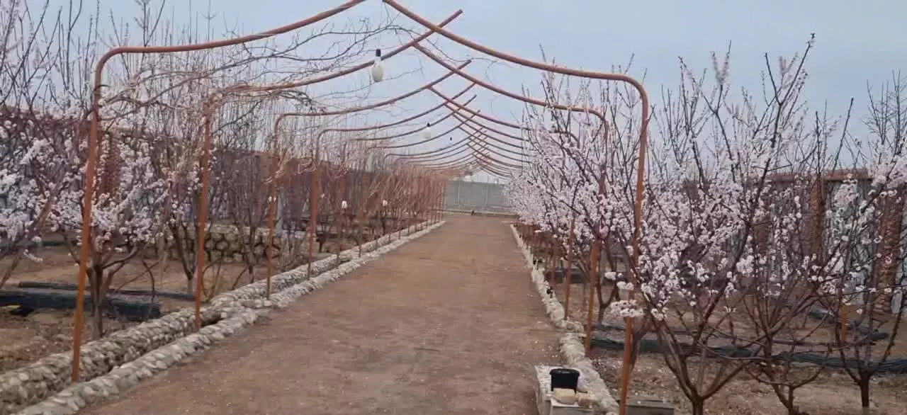فروش باغ در خیابان گل مینا منطقه هنرمندان