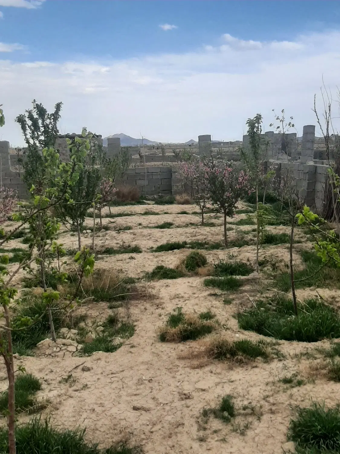 باغچه ارغش آباد قطعه۳