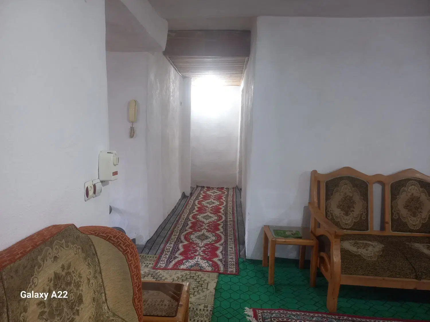 سوعیت جنگلی