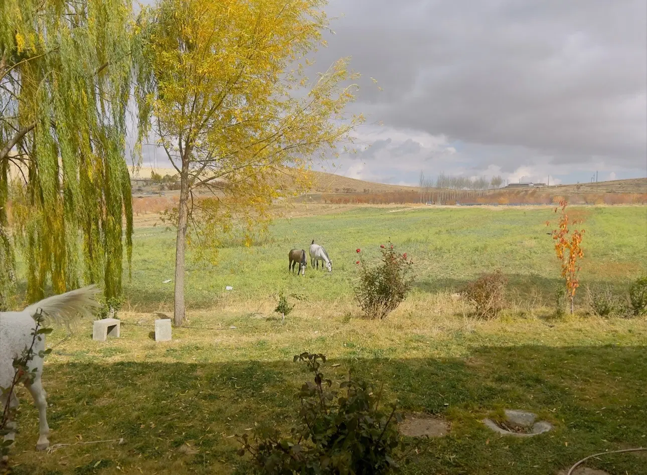 زمین محصور
