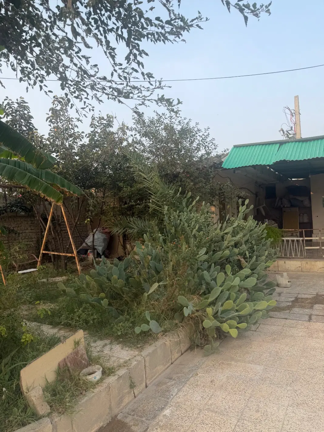زمین ۳۳۰۰ متری