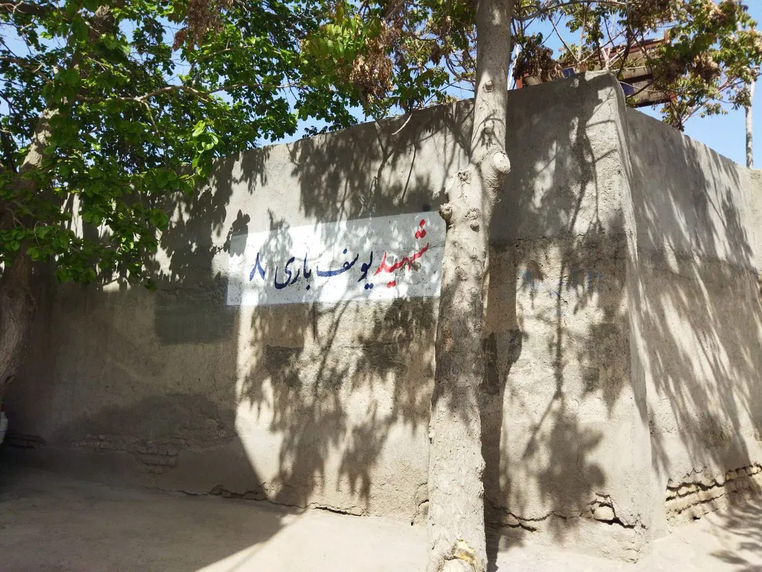زمین