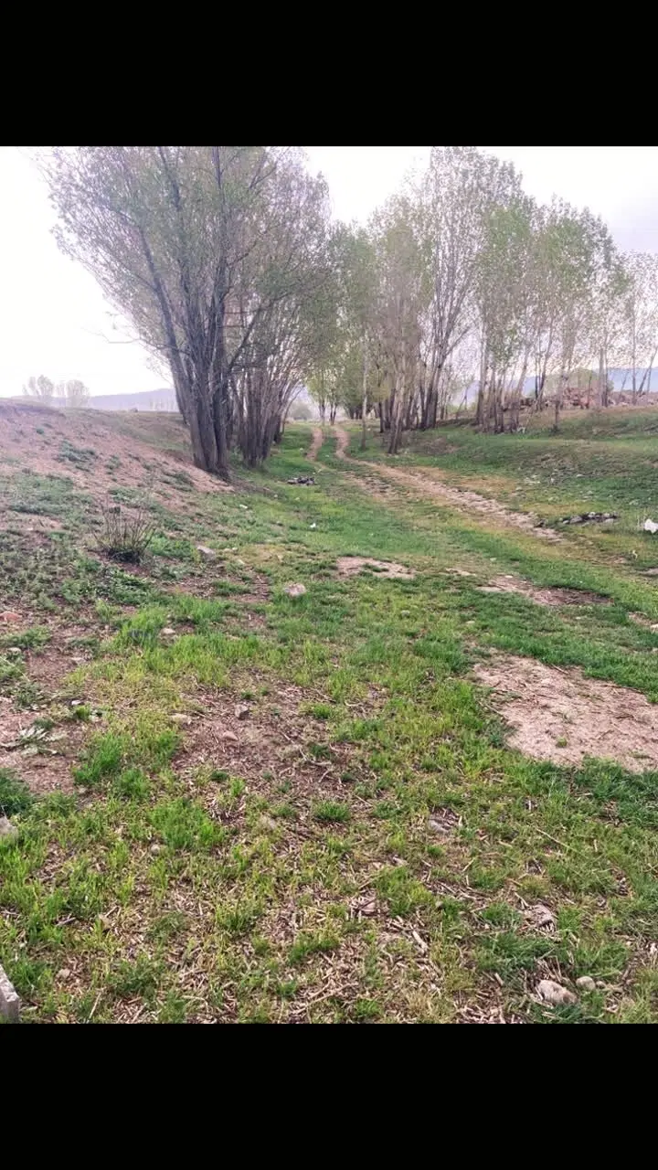 زمین ویلایی دو نبش بستان آباد