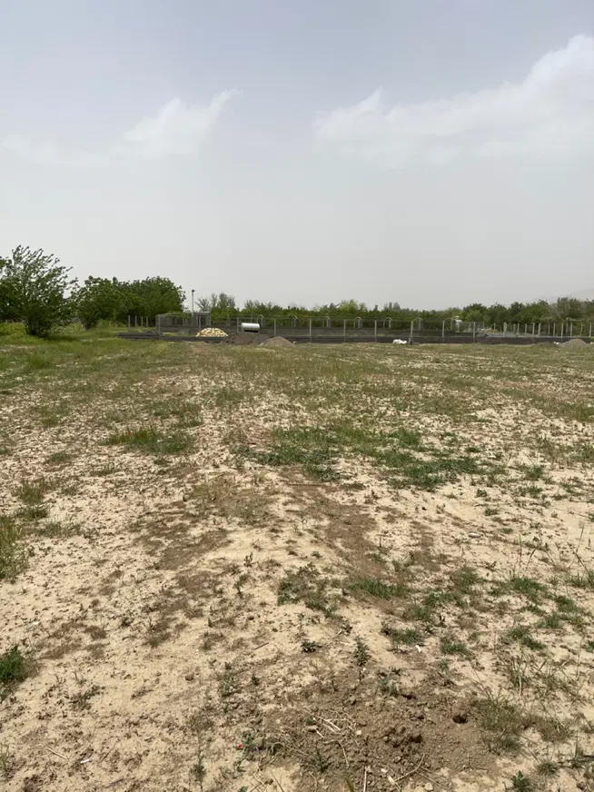 زمین کشاورزی