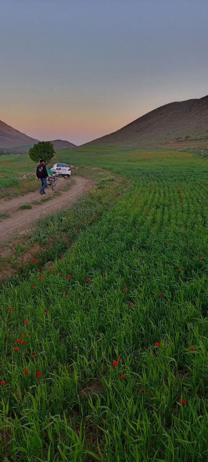 باغ زمین 200 متری روستای اردمین