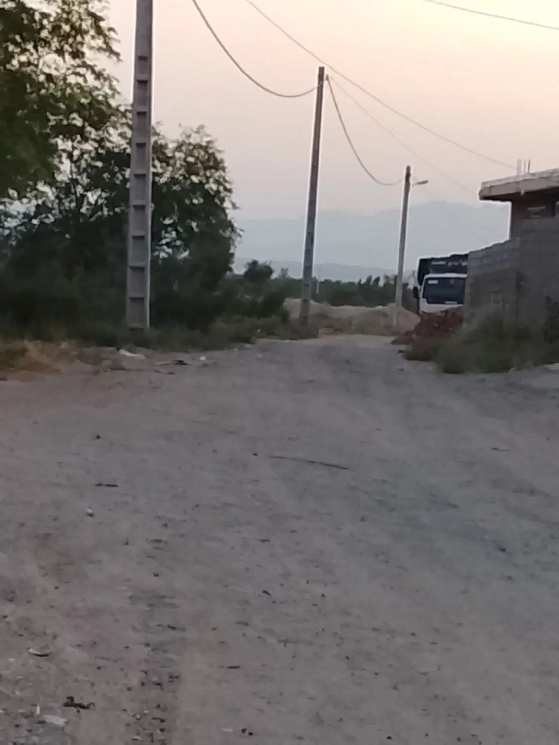 12قصب زمین