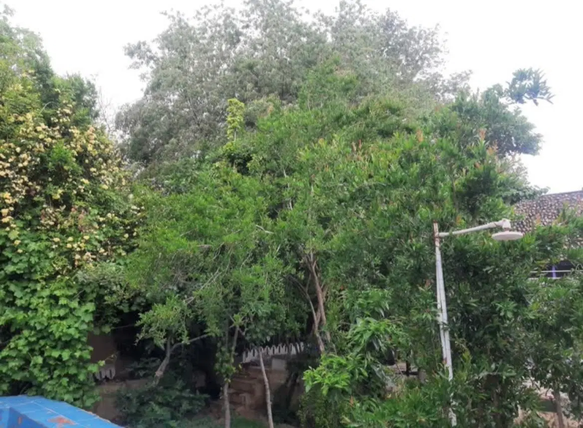 اجاره خانه باغ