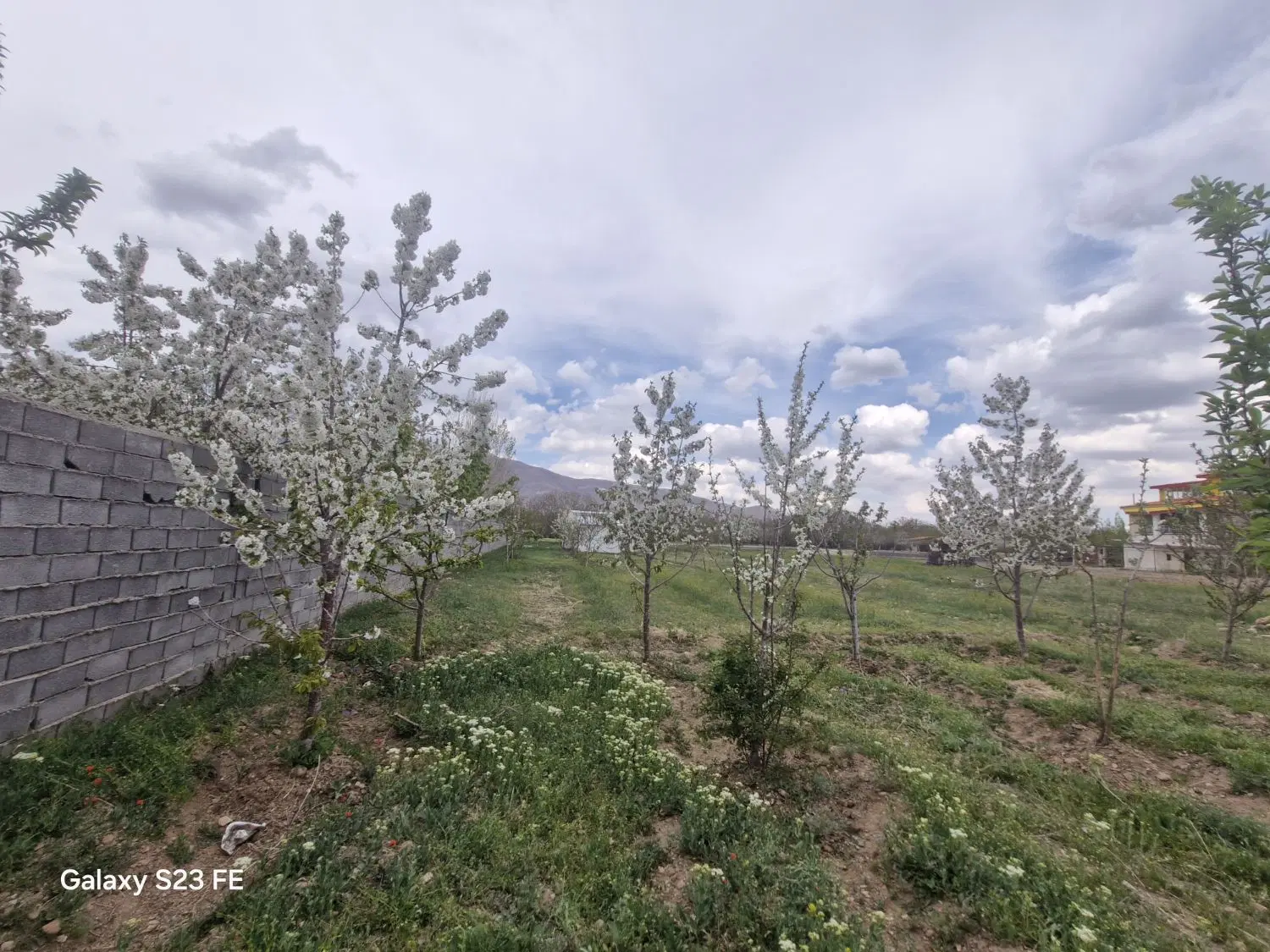 زمین مسکونی روستایی