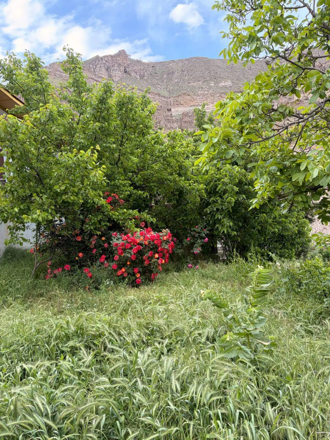 فروش ملک