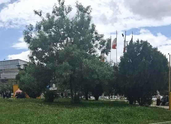 فیش مسکن ملی