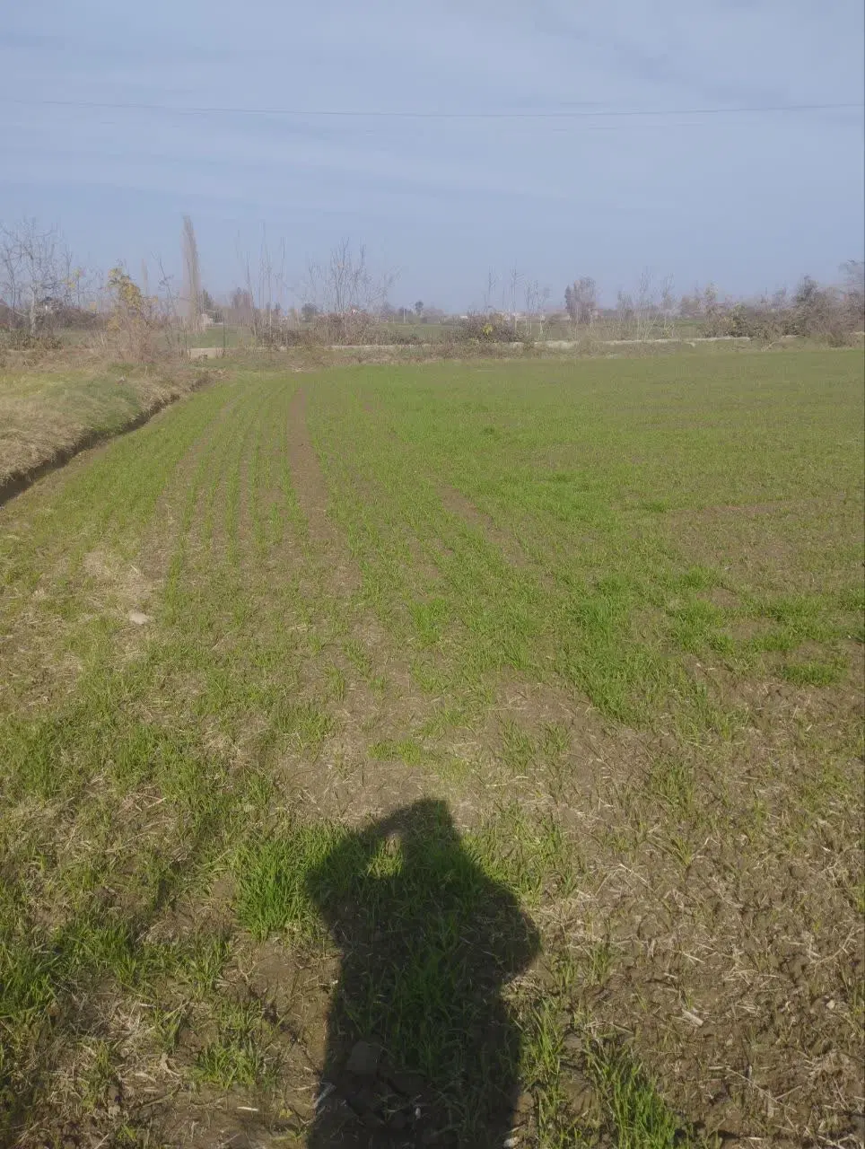 زمین کشاورزی واقع در روستای ایلوار