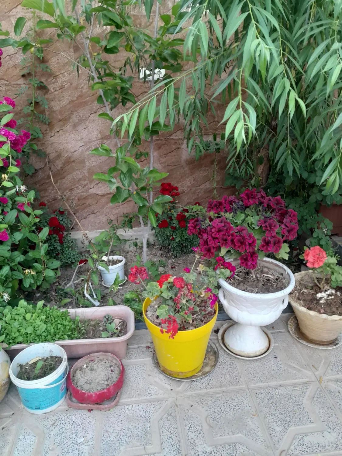 فروش باغ
